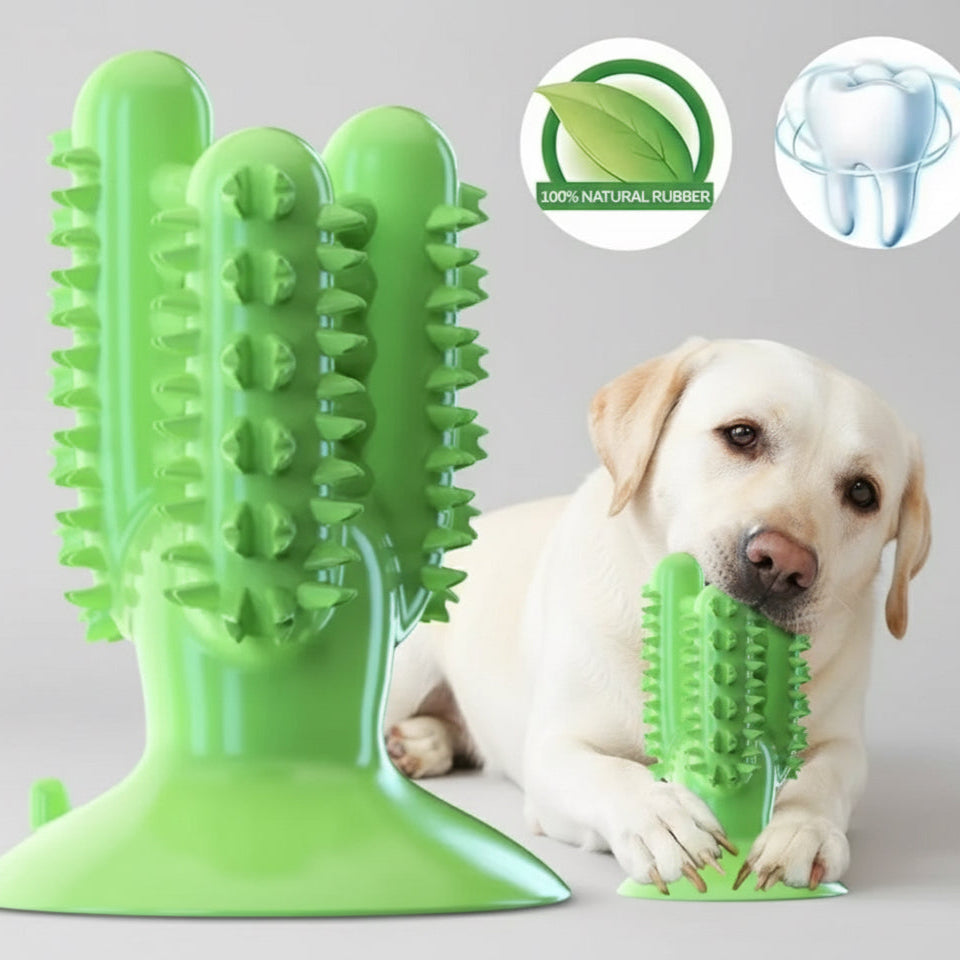 Suction Cup Teeth Cleaning