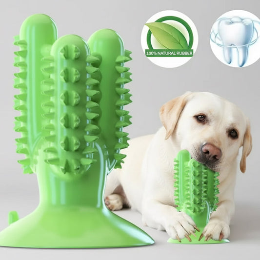Suction Cup Teeth Cleaning