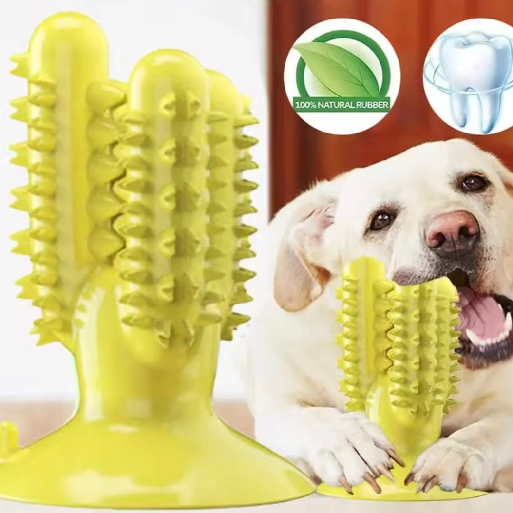 Suction Cup Teeth Cleaning