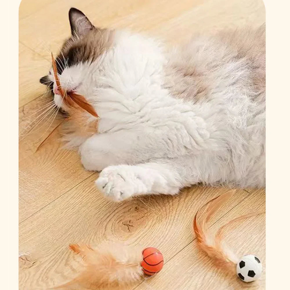 Cat Interactive Ball Toys Interactive Bouncy Ball with Feathers Cat Toys for Indoor Cats and Kittens