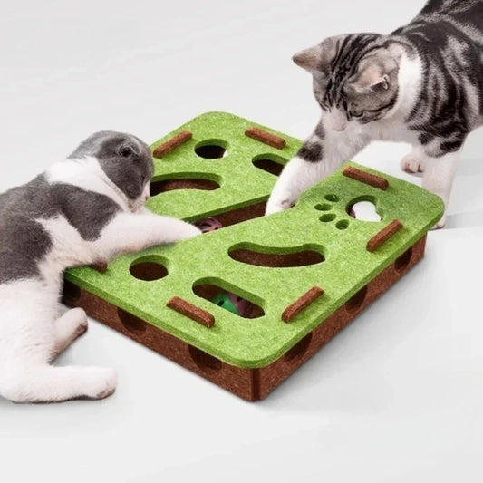 Maze Puzzle Box