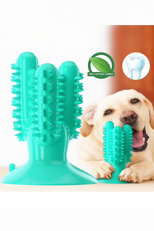 Suction Cup Teeth Cleaning