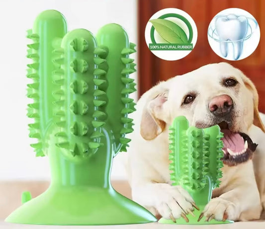 Suction Cup Teeth Cleaning