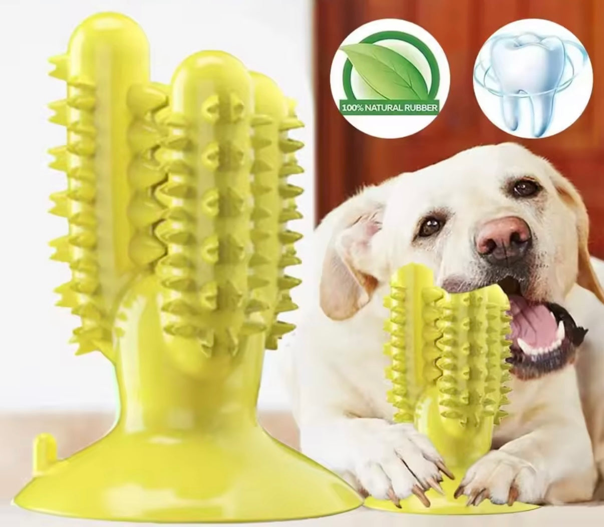 Suction Cup Teeth Cleaning