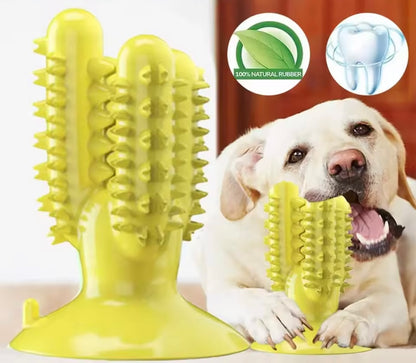 Suction Cup Teeth Cleaning