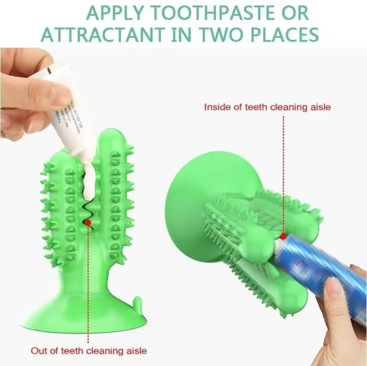 Suction Cup Teeth Cleaning