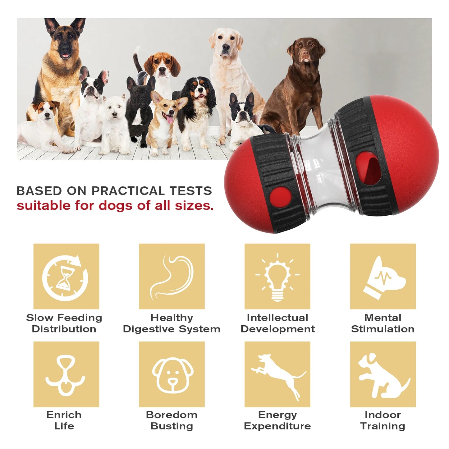 Slow Feeder Pet Improve IQ Indoor Training